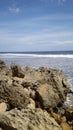 the view of the white coral background on the edge of the beach Royalty Free Stock Photo