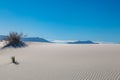 White Sands Desert Royalty Free Stock Photo
