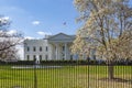 White House and spring blossom, Washington DC, District of Columbia, United States of America