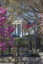 White House and Spring blossom, Washington DC, District of Columbia, United States of America