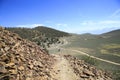 View of White Mountains From Ancient Bristlecone Pine Tree, California Royalty Free Stock Photo