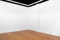 A view of a white painted interior of an empty room or an art gallery with a fluorescent lighting and wood floors Royalty Free Stock Photo