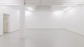 A view of a white painted interior of an empty room or an art gallery with a skylight lighting and concrete floors