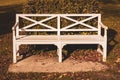 white Patio Bench in the garden in the fall season with the alone mood