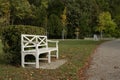 View of white Patio wooden Bench ithe green park garden in the fall season with the alone mood