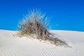 White Sands Desert, New Mexico Royalty Free Stock Photo