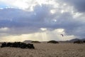 View on white sandy dunes near Corallejo beach at winter, Fuerteventura, Canary islands, Spain Royalty Free Stock Photo