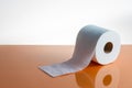 View of a white toilet paper roll over an orange background