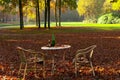 View of a wicker table and two chairs, standing on the red-colored fallen autumn leaves in the forest, with tall trees in beautifu Royalty Free Stock Photo