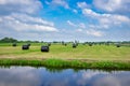 Dutch polder landscape with packed bales of hay Royalty Free Stock Photo