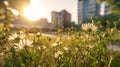 View of wide picture of green space in city park background, Generative Ai