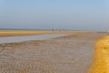 View of the wide sandy beach on the Dutch coast, with its ebb and flow after a warm spring day Royalty Free Stock Photo