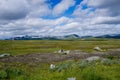 View of the wild tundra landscape ofthe Stekenkokk Plateau in Swedish Lappland