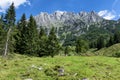 View of Wilder Kaiser Mountains summer alpine landscape, Austria, Tyrol