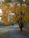 Winding footpath in a park, Stockholm, Sweden. Autumn time.