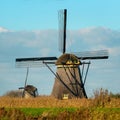 View of windmills in The Netherlands Royalty Free Stock Photo
