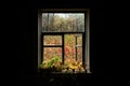 View from the window on the autumn courtyard Royalty Free Stock Photo