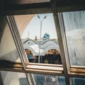 View through window of Chorsu Bazaar in Tashkent, Uzbekistan