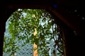 View through a window with hanging plants Royalty Free Stock Photo