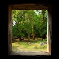 View from the window of the rainforest Royalty Free Stock Photo