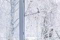 View from the window at snow covered trees Royalty Free Stock Photo