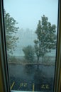 View from a window during a snow storm