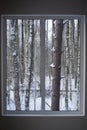 View from a window to the beutiful winter forest Royalty Free Stock Photo