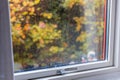 View from the window to the garden in the autumn on a rainy day. Raindrops on the window glass.