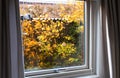 View from the window to the garden in the autumn on a rainy day. Raindrops on the window glass. Royalty Free Stock Photo