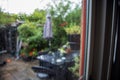 View from the window to the garden in the summer on a rainy day. Raindrops on the window glass.