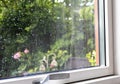 View from the window to the garden in the summer on a rainy day. Raindrops on the window glass.