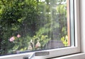 View from the window to the garden in the summer on a rainy day. Raindrops on the window glass. Royalty Free Stock Photo