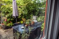 View from the window to the garden in the summer on a rainy day. Raindrops on the window glass.