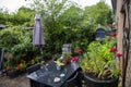 View from the window to the garden in the summer on a rainy day. Raindrops on the window glass.