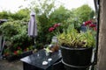 View from the window to the garden in the summer on a rainy day. Raindrops on the window glass.