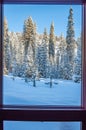 View from window to Sequoia National Park