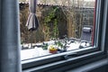 View from the window to the snow garden with spring flowers on the table and a lounge chair. Royalty Free Stock Photo