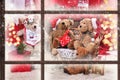 View through the window to teddy bear family at christmas time Royalty Free Stock Photo