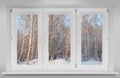 View from the window to the winter birch forest Royalty Free Stock Photo