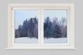 View from the window winter forest Royalty Free Stock Photo