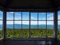 Fire Tower Window View of Pine Forest Royalty Free Stock Photo