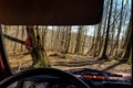 View through the windshield of the car on an impassable forest and an abandoned road