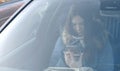 View through windshield of the car on young brunette woman in blue down jacket looking at the phone. Royalty Free Stock Photo