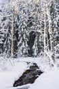 View of winter forest and frozen creek, Meiko recreation area