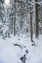 View of winter forest and frozen creek, Meiko recreation area, Kirkkonummi, Finland