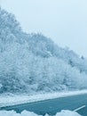 a view of the winter landscape from the window of the car Royalty Free Stock Photo