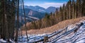 View at winter mountains with green trees