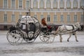 The woman is riding the carriage