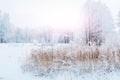 View of the winter Park in snowy weather. Snow-covered trees lanterns and paths. Seasonal changes in nature. Blur Royalty Free Stock Photo