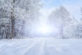 View of the winter Park in snowy weather. Snow-covered trees lanterns and paths. Seasonal changes in nature. Christmas background Royalty Free Stock Photo